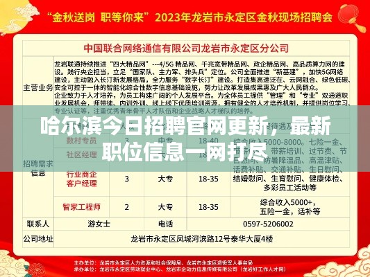 哈爾濱今日招聘官網(wǎng)更新，最新職位信息一網(wǎng)打盡