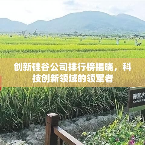 創新硅谷公司排行榜揭曉，科技創新領域的領軍者