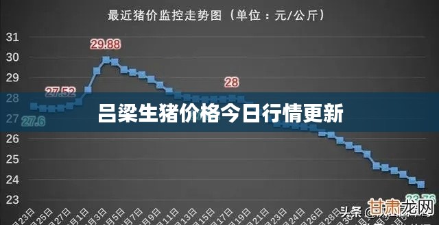 呂梁生豬價格今日行情更新