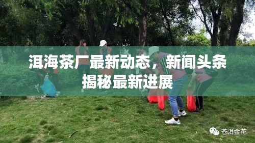 洱海茶廠最新動態,新聞頭條揭秘最新進展