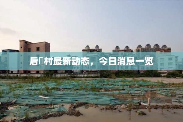 后滘村最新動態，今日消息一覽