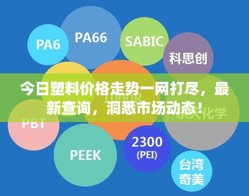 今日塑料價格走勢一網(wǎng)打盡,最新查詢,洞悉市場動態(tài)!