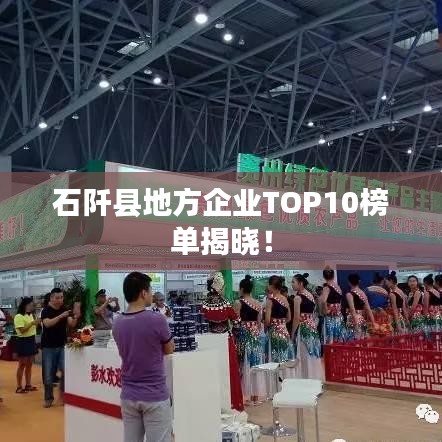 石阡縣地方企業TOP10榜單揭曉!