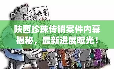 陜西珍珠傳銷案件內(nèi)幕揭秘,最新進(jìn)展曝光!