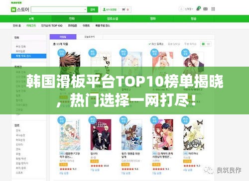 韓國滑板平臺TOP10榜單揭曉，熱門選擇一網(wǎng)打盡！