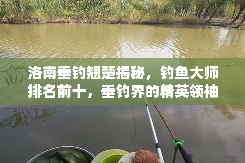 洛南垂釣翹楚揭秘,釣魚大師排名前十,垂釣界的精英領(lǐng)袖!