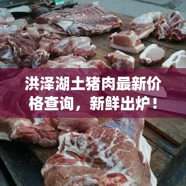 洪澤湖土豬肉最新價格查詢,新鮮出爐!