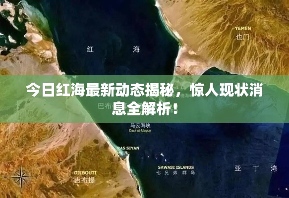 今日紅海最新動態揭秘,驚人現狀消息全解析!