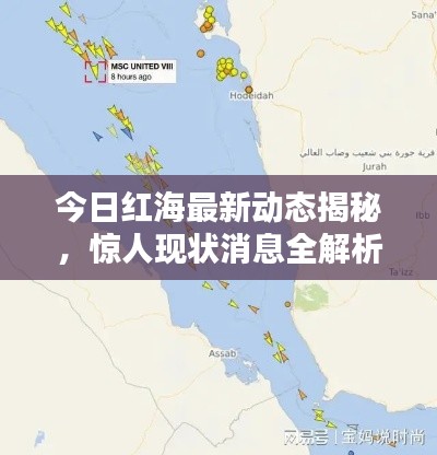 今日紅海最新動態揭秘,驚人現狀消息全解析!