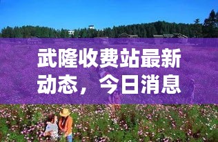 武隆收費站最新動態(tài)，今日消息全解析