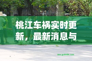 桃江車禍實時更新，最新消息與現場情況揭秘