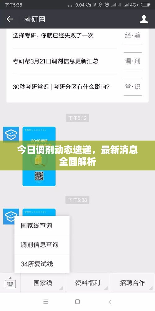 今日調劑動態速遞,最新消息全面解析