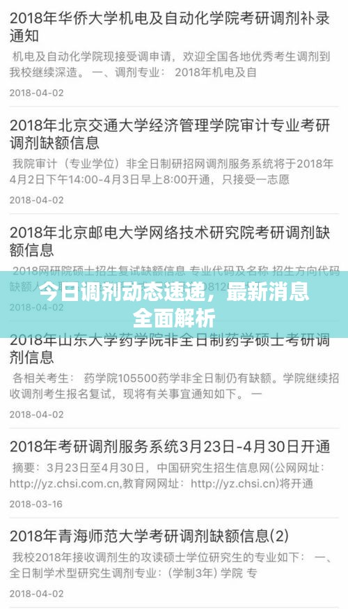 今日調劑動態速遞,最新消息全面解析