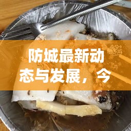 防城最新動態(tài)與發(fā)展,今日頭條探索報告