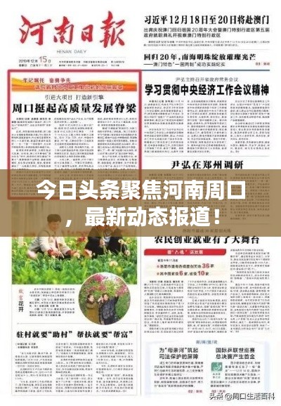 今日頭條聚焦河南周口,最新動態報道!