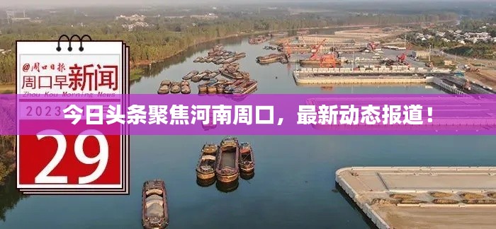 今日頭條聚焦河南周口,最新動態報道!