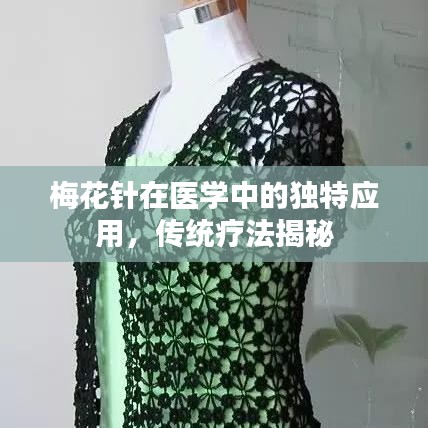 梅花針在醫學中的獨特應用,傳統療法揭秘