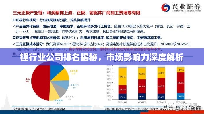鋰行業(yè)公司排名揭秘，市場影響力深度解析
