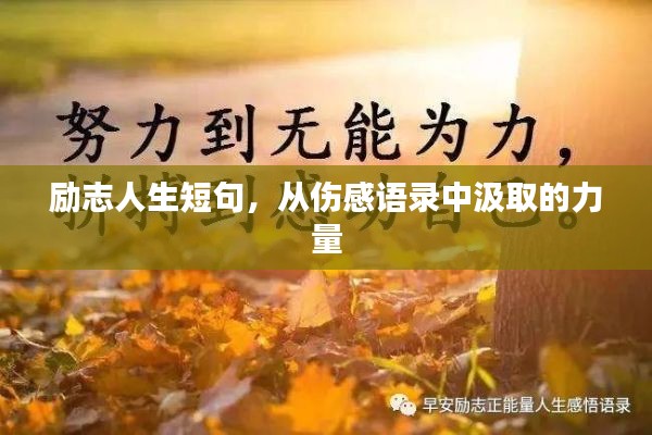 勵志人生短句,從傷感語錄中汲取的力量
