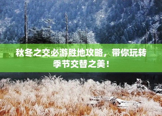 秋冬之交必游勝地攻略,帶你玩轉季節交替之美!