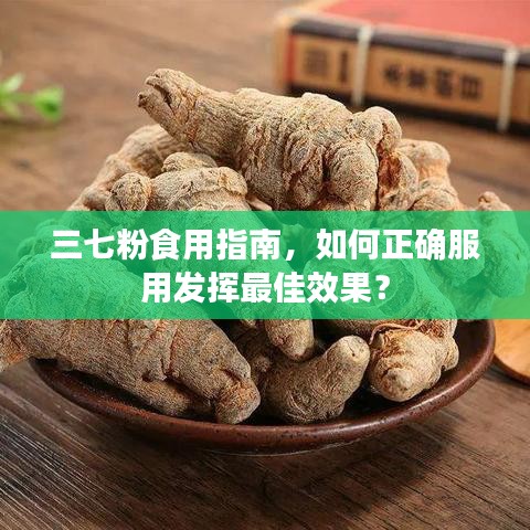 三七粉食用指南，如何正確服用發揮最佳效果？