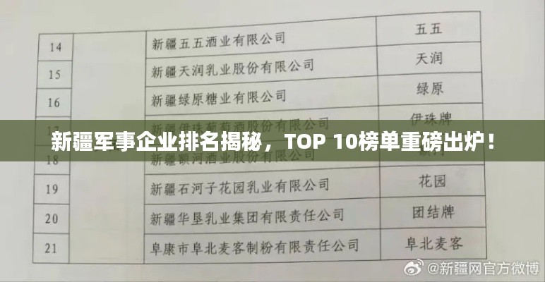 新疆軍事企業排名揭秘，TOP 10榜單重磅出爐！