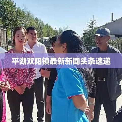 平湖雙陽鎮最新新聞頭條速遞