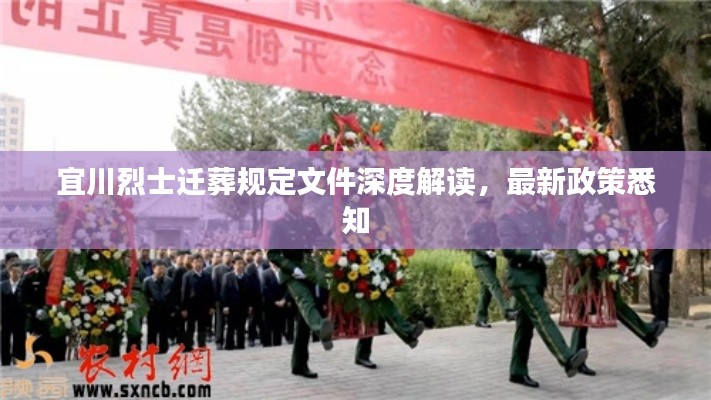 宜川烈士遷葬規(guī)定文件深度解讀,最新政策悉知