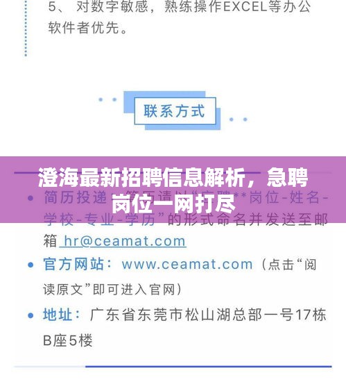 澄海最新招聘信息解析,急聘崗位一網(wǎng)打盡