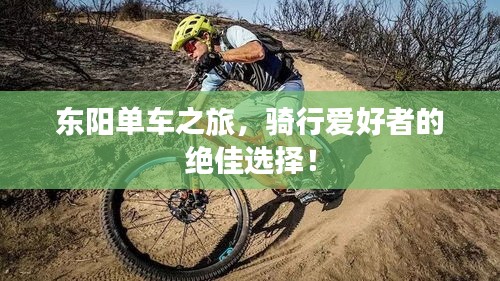 東陽單車之旅,騎行愛好者的絕佳選擇!