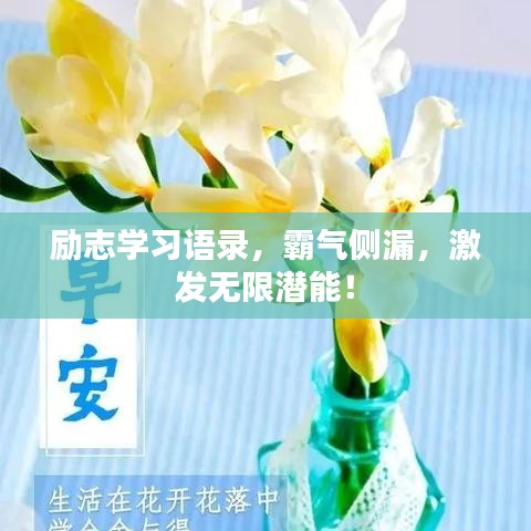 勵志學習語錄，霸氣側漏，激發(fā)無限潛能！