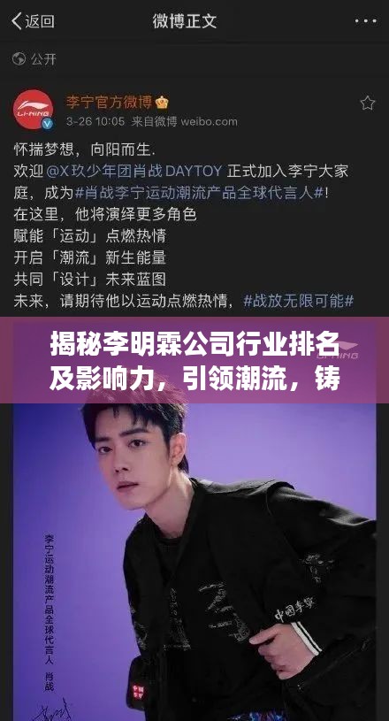 揭秘李明霖公司行業(yè)排名及影響力,引領(lǐng)潮流,鑄就傳奇!