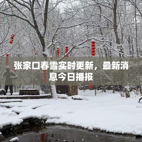 張家口春雪實時更新,最新消息今日播報