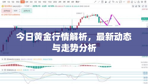 今日黃金行情解析,最新動態與走勢分析