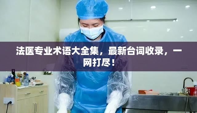 法醫專業術語大全集，最新臺詞收錄，一網打盡！