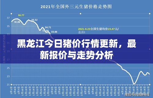 黑龍江今日豬價行情更新,最新報價與走勢分析