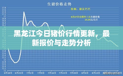 黑龍江今日豬價行情更新,最新報價與走勢分析