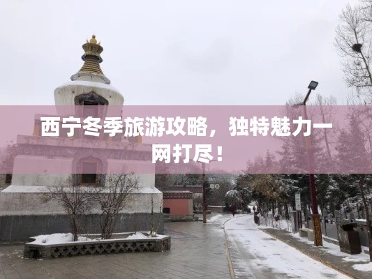 狗尾續貂 第3頁