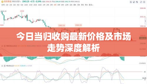 今日當歸收購最新價格及市場走勢深度解析