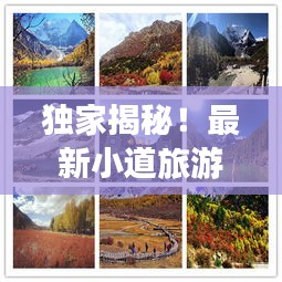 獨(dú)家揭秘！最新小道旅游攻略大全，帶你暢游未知美景