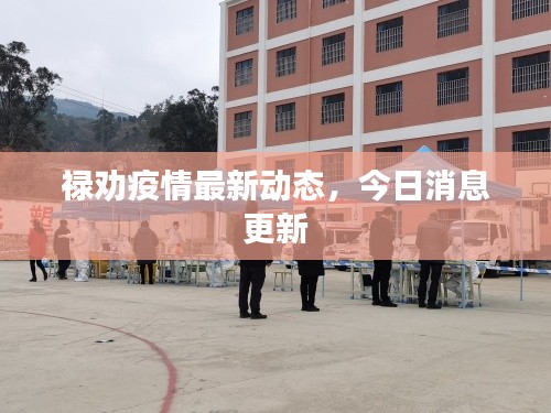 祿勸疫情最新動態(tài)，今日消息更新