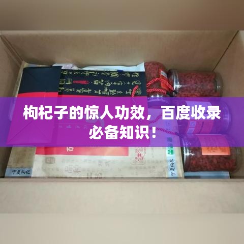 枸杞子的驚人功效,百度收錄必備知識!