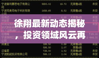 徐翔最新動態揭秘,投資領域風云再起,2024年展望