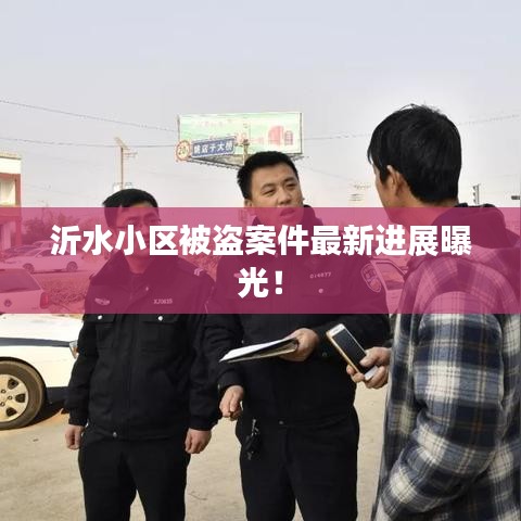 沂水小區(qū)被盜案件最新進展曝光！