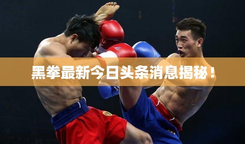 黑拳最新今日頭條消息揭秘！