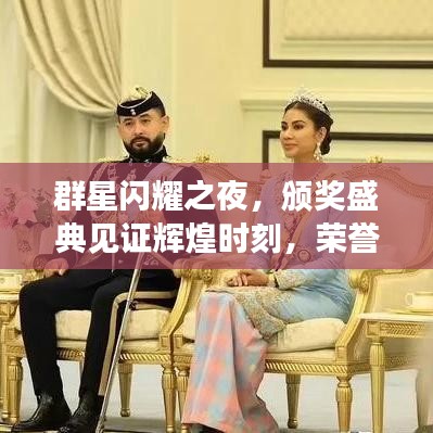 群星閃耀之夜,頒獎盛典見證輝煌時刻,榮譽加冕星光璀璨