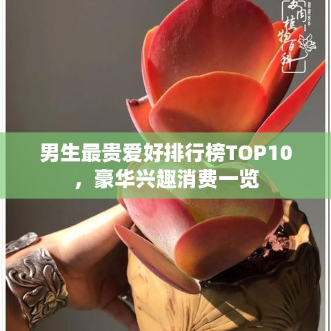 男生最貴愛好排行榜TOP10,豪華興趣消費一覽