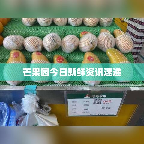 眼空四海 第3頁