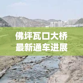 佛坪瓦口大橋最新通車進展，交通新里程碑誕生！