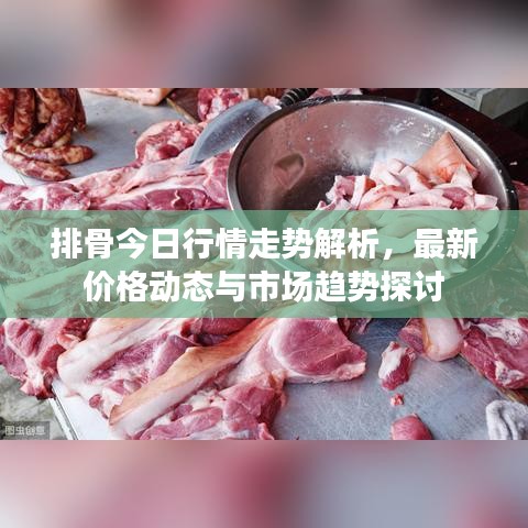 排骨今日行情走勢解析，最新價格動態與市場趨勢探討